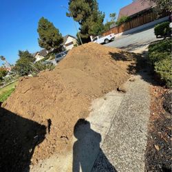 🚨🚨FREE DIRT FREE DELIVERY🚨🚨