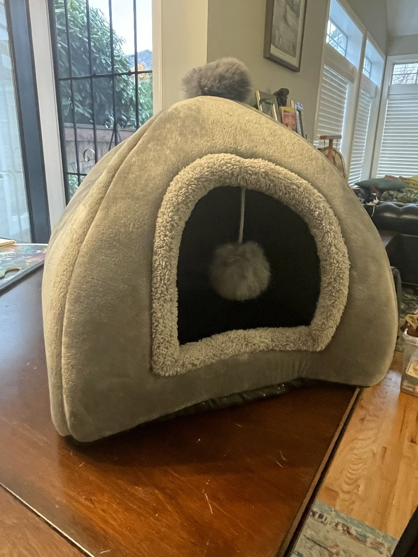 Cat House
