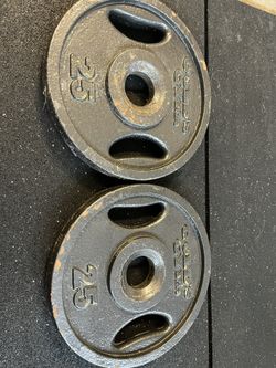 25lb Bar Weights