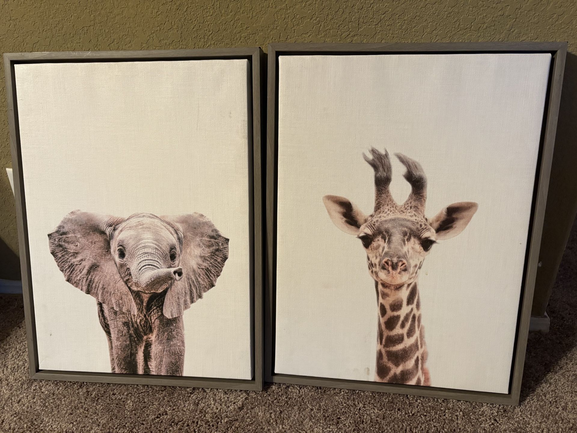 Picture Frames