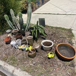 Free planter. Picture updated.
