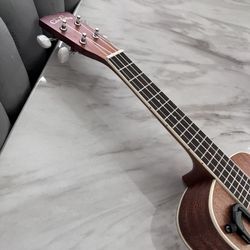 Ukulele Concert Cordoba 