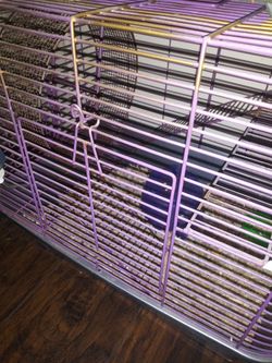 Hamster Cages