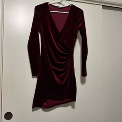Burgundy Suede Dress  