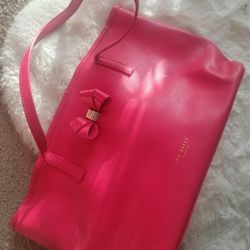 Ted Baker Bag