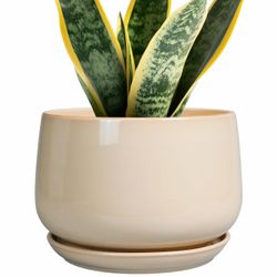 G EPGardening Ceramic Planter - 7 Inch Plant Pots With Drainage And Ceramic Tray, Flower Pots For Indoor Plants, Round Outdoor Planter, Room Decor, Gi