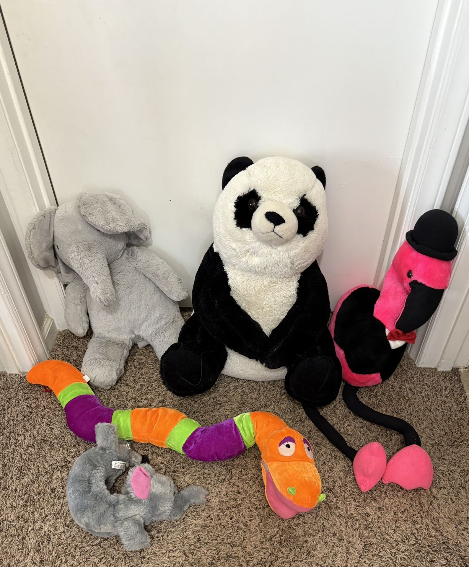 Teddy Lot