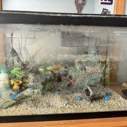 20 Gallon Fish Tank 