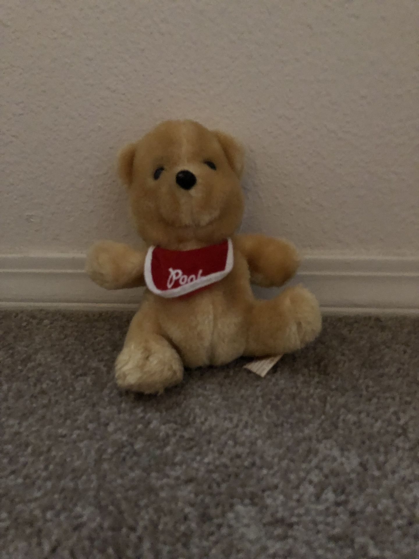 Winnie the Pooh Plush