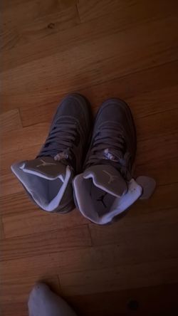 Jordan 5 wolf gray size 10