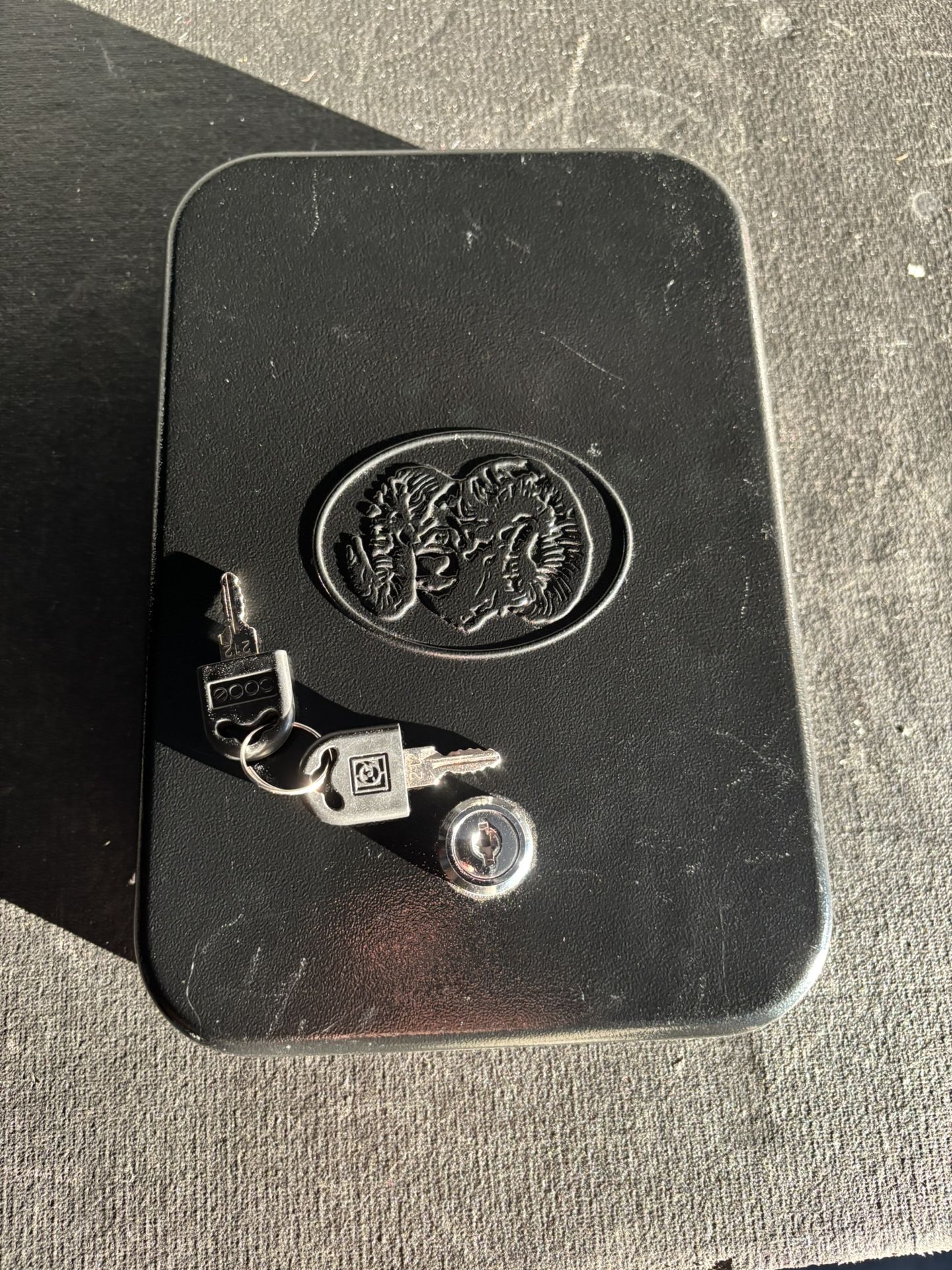 Personal Security Safe