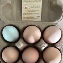 Fresh Organic Eggs - Half Dozen $3