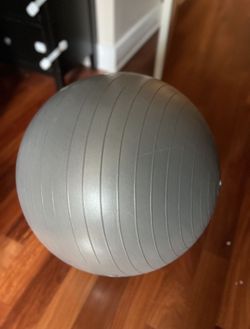 Pregnancy Ball Exercise Ball