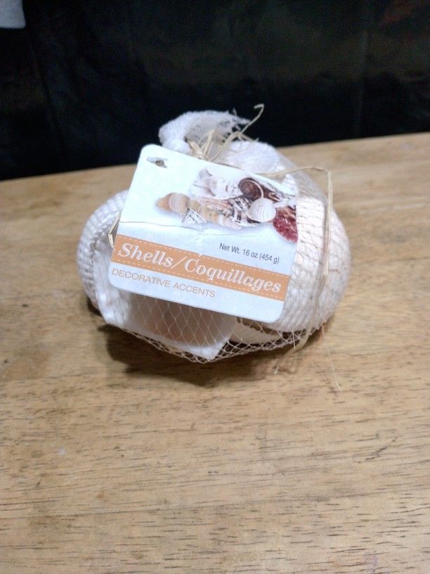 New Sea Shells Decorative Accents Cream Colored Decor Fun.