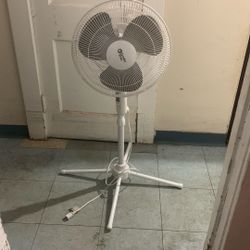 Stand Up Fan 