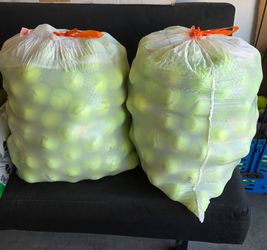 Large Lot of Used Tennis Balls