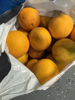 Organic Oranges 