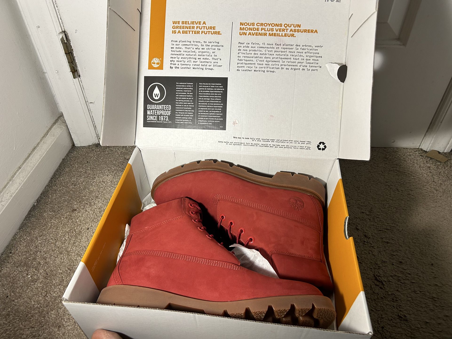Timberland 6-inch Boots (NEVER WORN/NEW)