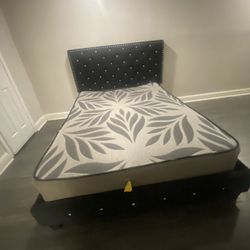 Queen Size Bed 