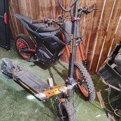 Awesome Leopard Scooter