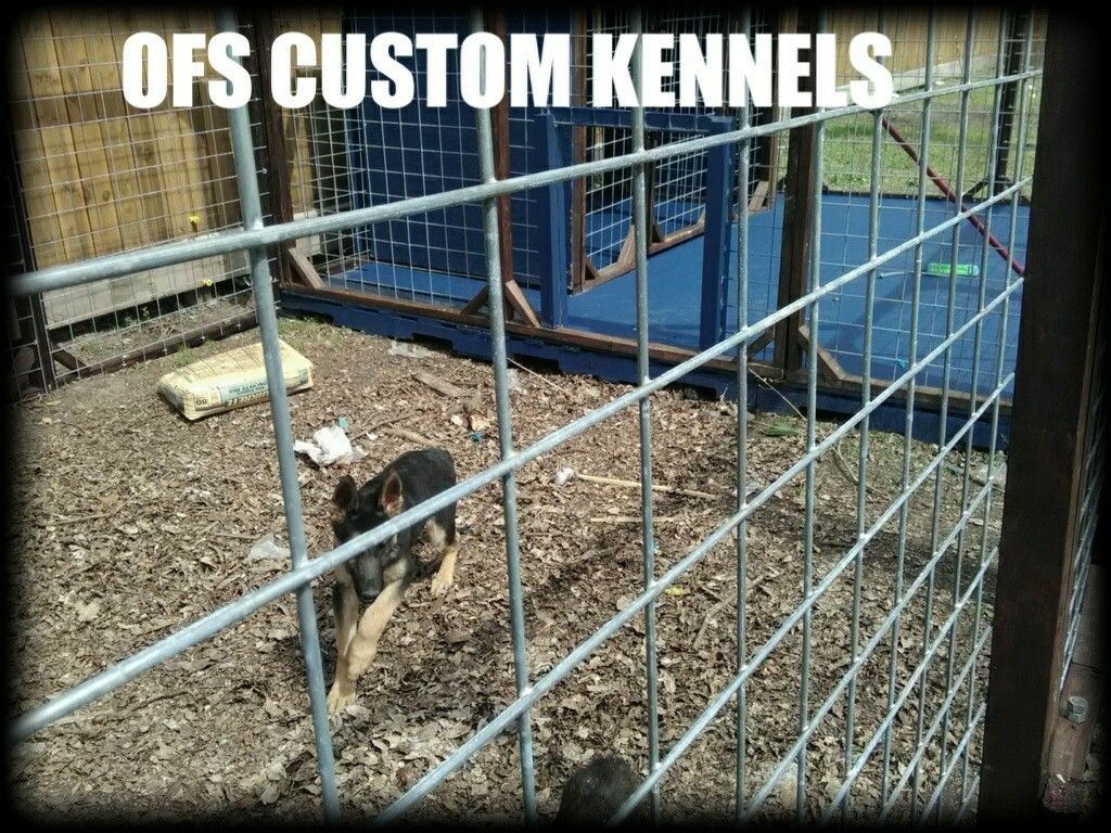 Ofs 2025 custom kennels