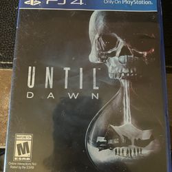 Until Dawn