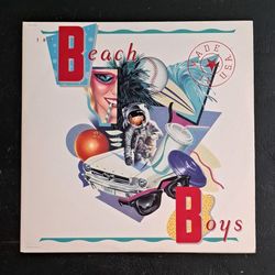 The Beach Boys Vinyl Records 