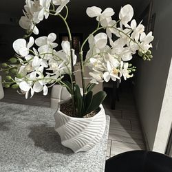 Decoration