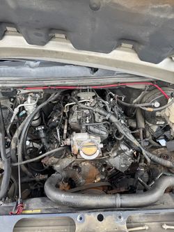 243 LS Heads