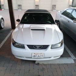 2002 Ford Mustang