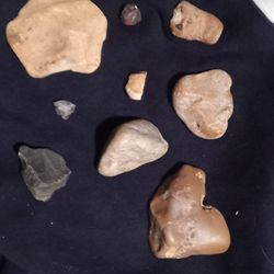 Fossils And Indian Artifacts