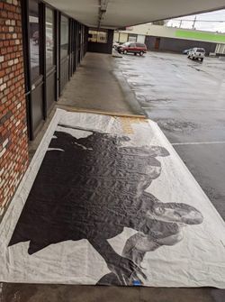 LeBron James once in a lifetime find