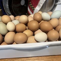 Fresh Eggs For Sale , 18 Count $5…12 Count $4