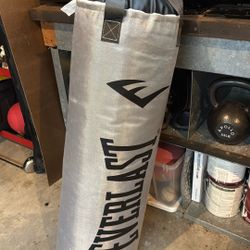 Everlast Punching Bag