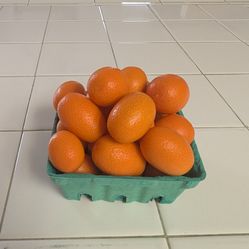 Kumquat Fruit Picked Daily $5 per pound