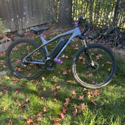 Electric Bike