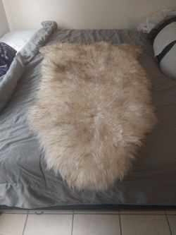 Real Sheep Skin Rug