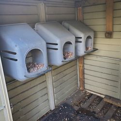 Chicken Nesting Boxes