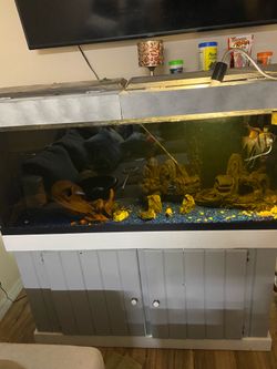 Fishtank