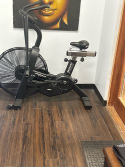 AssaultBike Pro