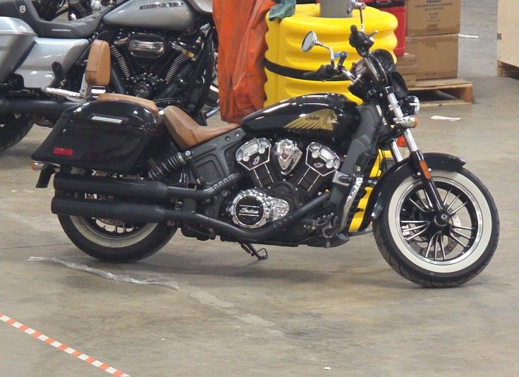 2019 Indian Scout