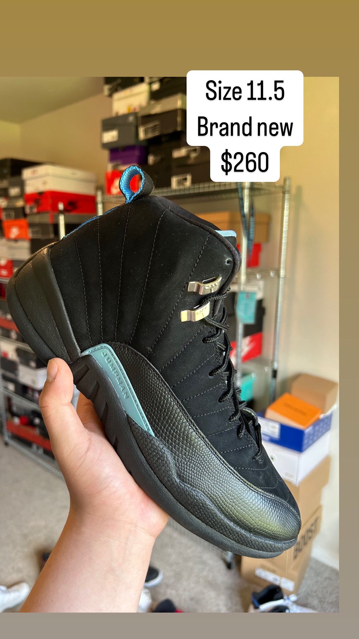 Jordan 12 Nubuck Size 11.5 Brand New