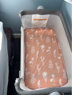 Taylengrow bassinet