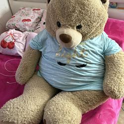 Big Teddy Bear 🧸 
