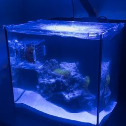 10 Gallon Fiji Cube Fish tank 