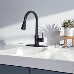 Kitchen Faucet with Pull Down Sprayer