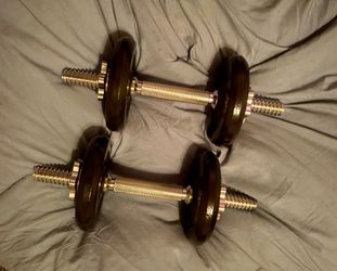 40 lb new dumbbells and carrier