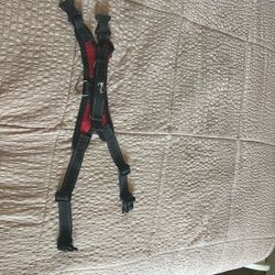 Dog Harness