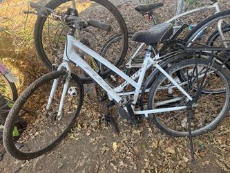 Fuji bike