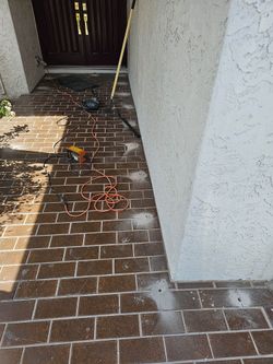 Termite